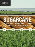 Sugarcane: One Plant, Many Solutions