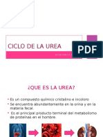 Ciclo de La Urea