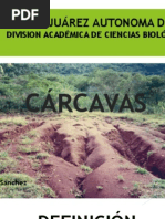 Cárcavas