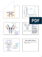 Antibody Structure and Function PDF