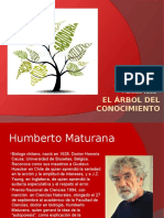 Arbol Del Conocimiento