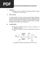 Extraccion de Aceites Escenciales de Eucalipto