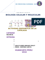 Guia de La Actividad Enzimatica de La Catalasa