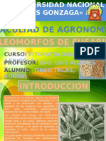 Teleomorfos de Fusarium