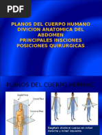 PLANOS Y Insiciones-Quirurgias