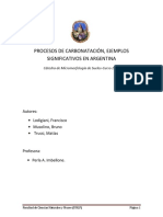 Procesos de Carbonatación