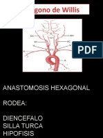 Presentacion-Poligono de Willis