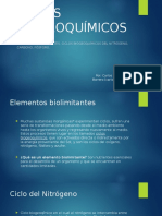 Ciclos Biogeoquímicos