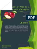 Ciclo de Vida de La Manzana