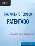 02-Tratamiento Termico Patentado Camesa