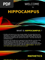 Hippocampus