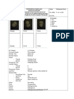 Identifikasi Fosil Planktonik 2 & 3 (Ocand)