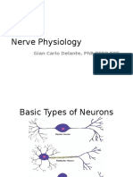 04 Nervous System Physiology