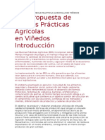 Buenas Practicas Agricolas en Viñedos