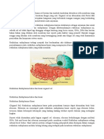 Retikulum Endoplasma