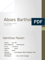 Abses Bartholin