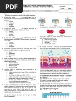 Valoracion Estructura Celular - Membrana Plasmatica