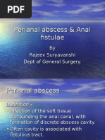 Perianal Abscess - Pilonidal Disease