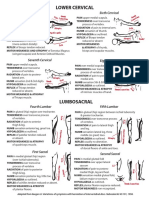 Back Radiculopathy Chart