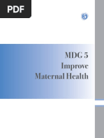 mdg5 Partogram in Malaysia PDF