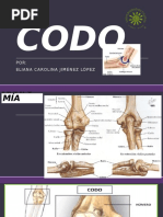 CODO