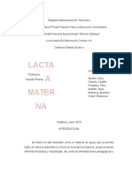 Informe Lactancia Materna