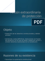 Accion Extraordinaria de Proteccion