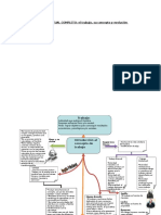 Mapa Conceptual 