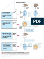 Koch Postulates 