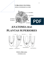 Anatomia Plant As Superior Esj N Bo