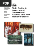 FieldGuide AZ NM