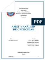 Amef Analisis de Citricidad