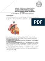 Protocolos Anestesia Cirugia Digestivo-Anestesia en Cirugía Vias Biliares