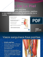 La Articulacion de La Rodilla