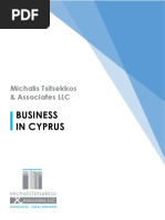 Michalis+Tsitsekkos+&+Associates+LLC Brochure