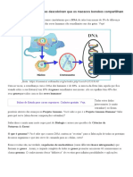 DNA - Veja o Projeto Genoma Humano! - Biologia Enem