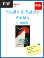 Health & Safety Audits: E-Book