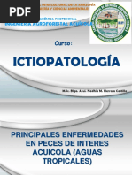 Ictiopat Sem 6 2016 I