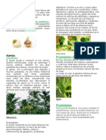 15 Plantas Medicinales