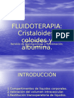 Fluidoterapia 2