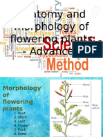 Anatomy and Morphology of Flowering Plants - Advanced