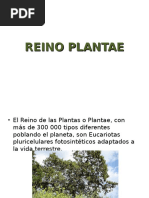 Reino Plantae