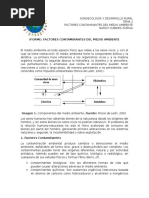 Informe Factores Contaminantes Del Medio Ambiente