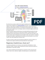 Regiones Anatómicas Del Cuerpo Humano