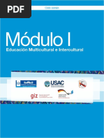 Módulo I Educación Multicultural e Intercultural