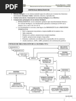 Sistemas Biologicos PDF