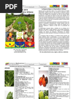 Guía Básica para La Agricultura Orgánica Urbana PDF