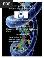 Acidos Nucleicos Exposicion