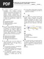 Examen Bimestral.) Octavo: Sistema Nervioso y Endocrino