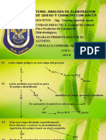 Haccp de Queso y Chancho